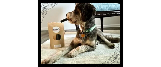 Meet October's Pet of the Month
