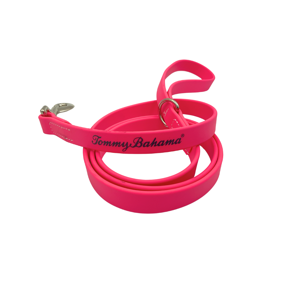 Tommy Bahama Colorful Leashes
