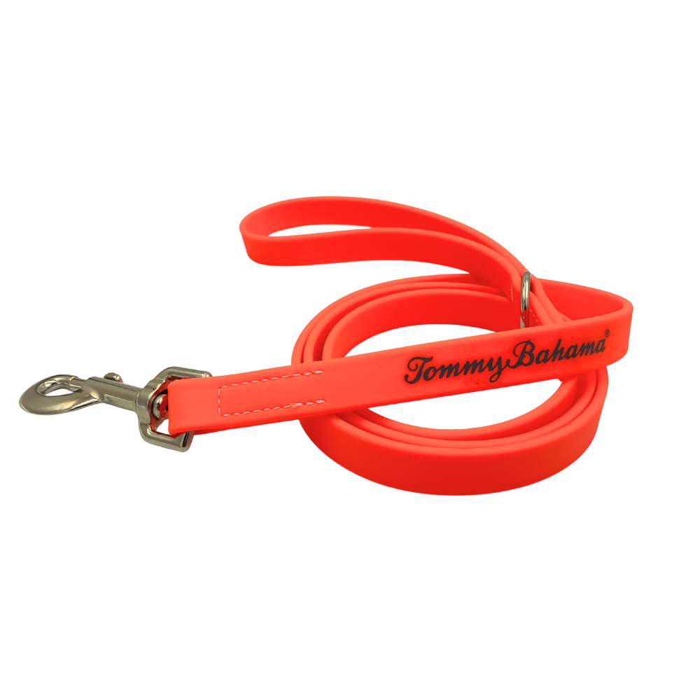 Tommy Bahama Colorful Leashes