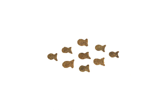 Whitefish with Sweet Potato & Pumpkin Treats