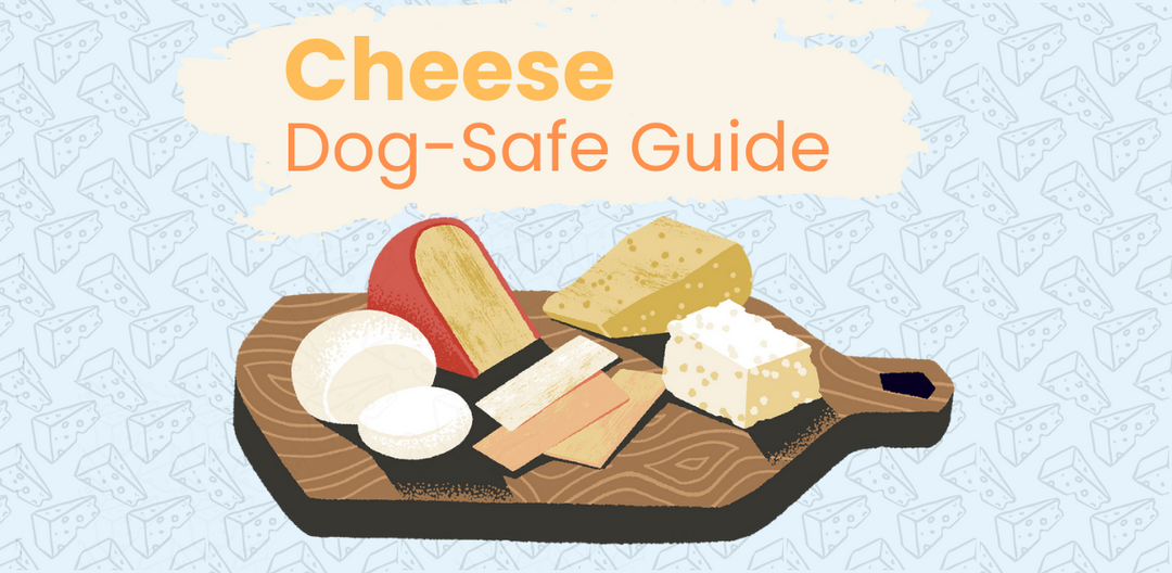 Can Dogs Eat Cheese?