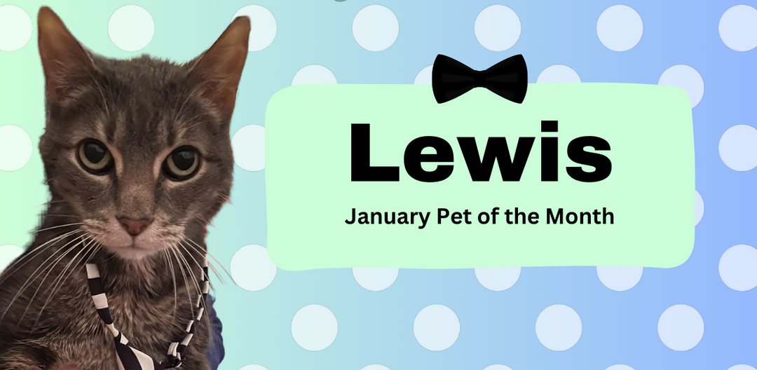 Meet January's Pet of the Month
