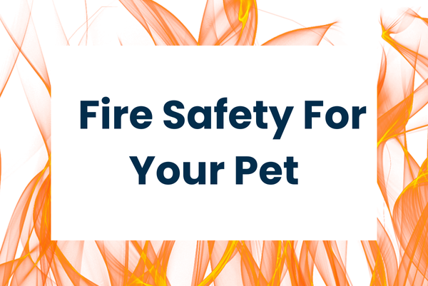 5 Essential Tips for National Pet Fire Safety Day