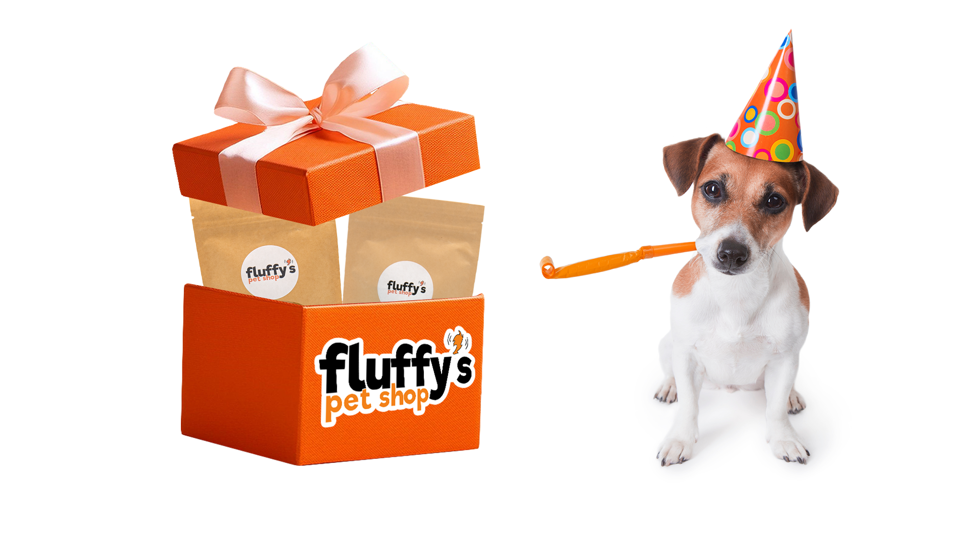 Gifts For Your Fluffy Friends!