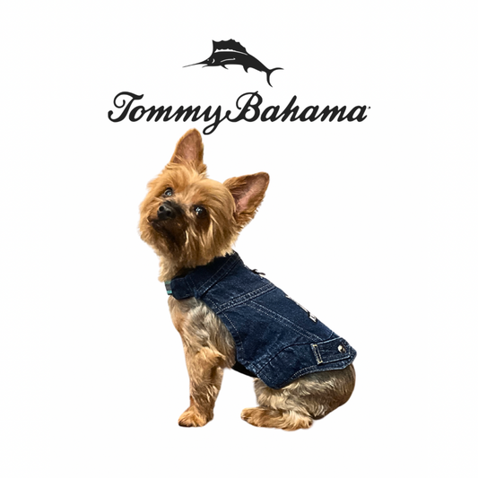 Tommy Bahama Dog Outfit and Harness | Denim