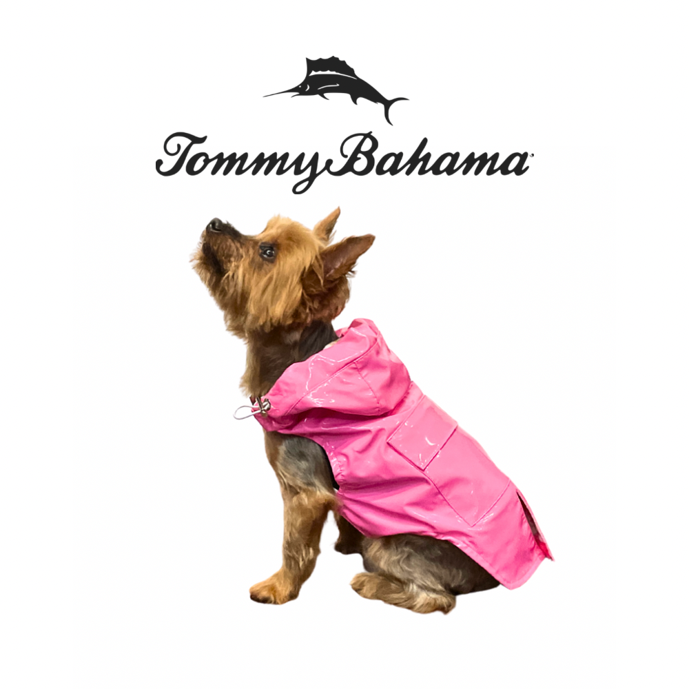 Tommy Bahama Dog Jacket and Harness | Pink
