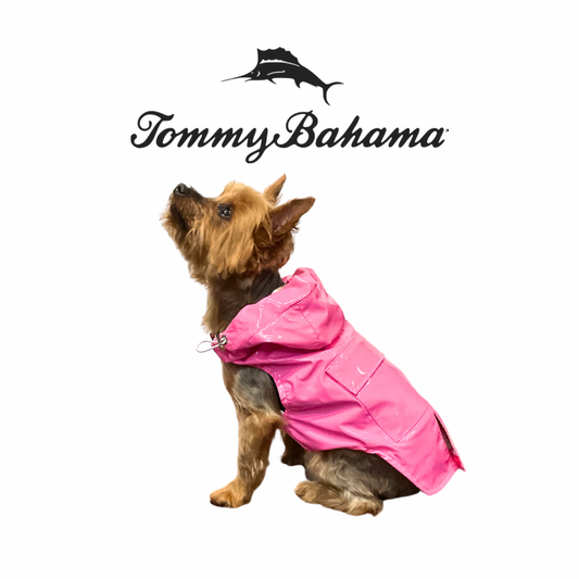 Tommy Bahama Dog Jacket and Harness | Pink