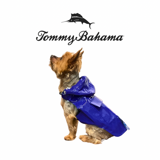 Tommy Bahama Dog Jacket and Harness | Blue