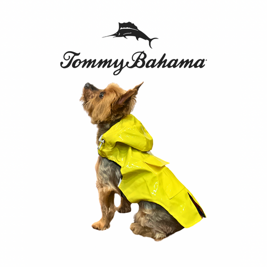 Tommy Bahama Dog Jacket and Harness | Yellow