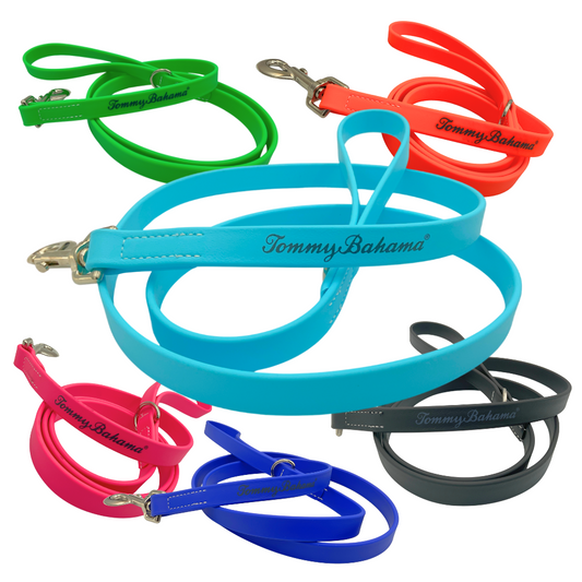 Tommy Bahama Colorful Leashes