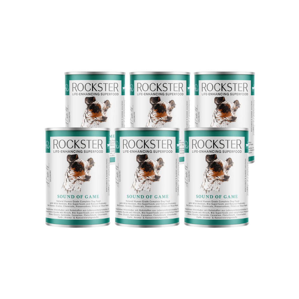 Rockster Sound Of Game: 6 Pack