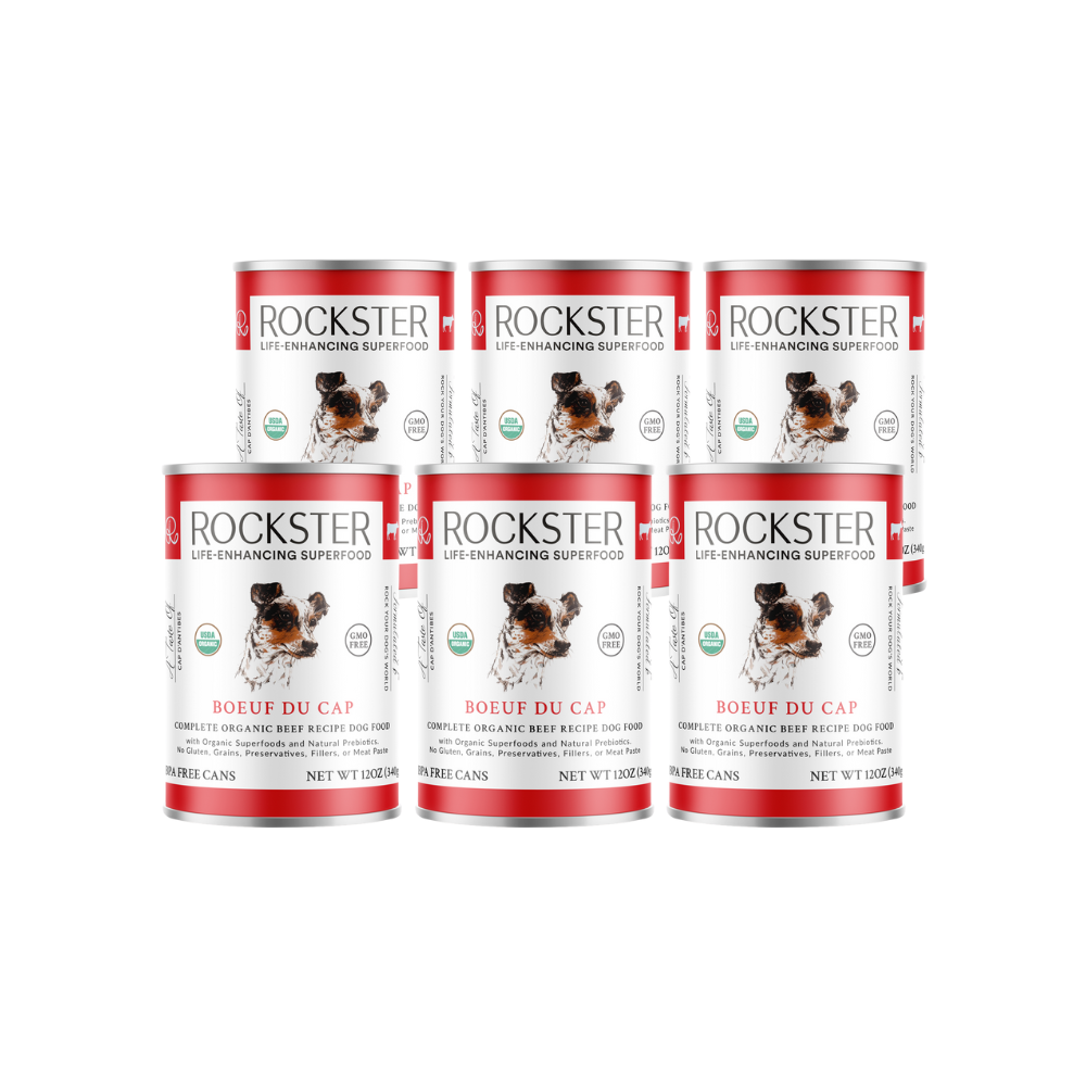Rockster Boeuf Du Cap: 6 Pack